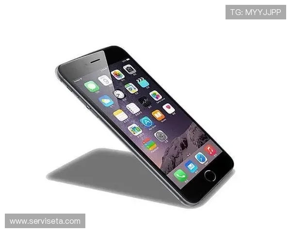 凯发体育app手机安全保障措施,保障用户账号信息安全与隐私保护